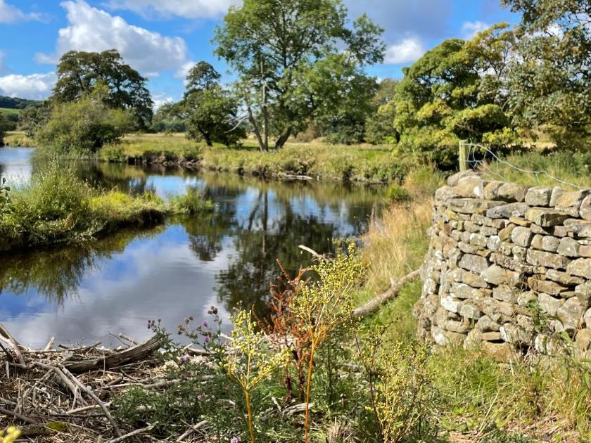 The River Ure